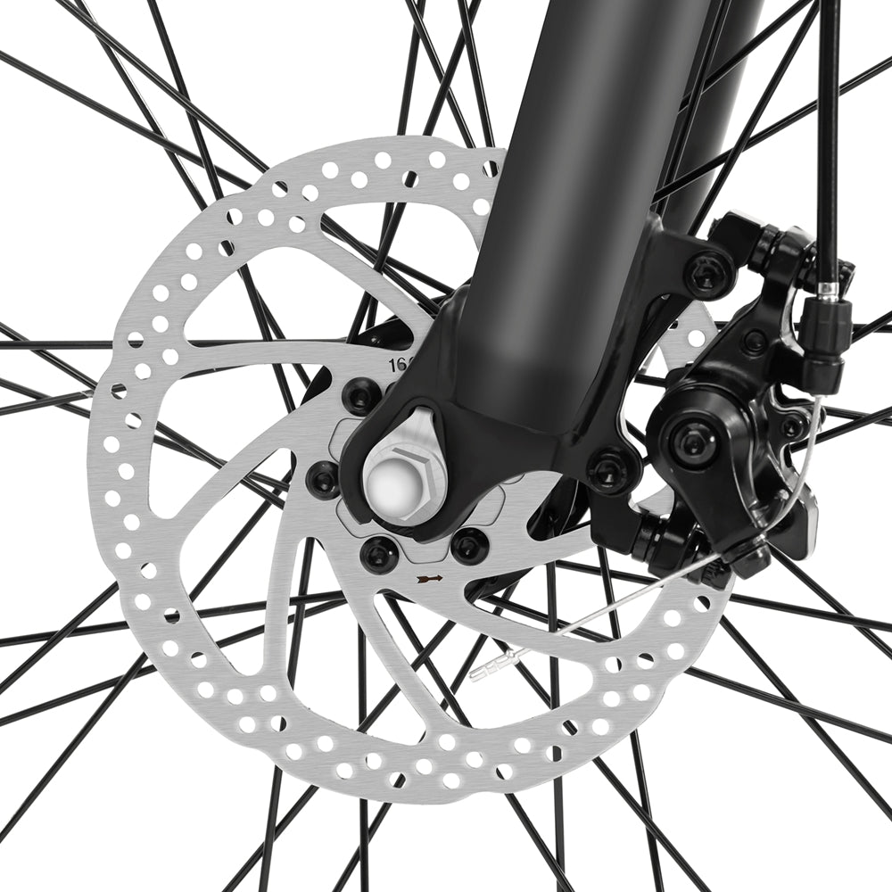 Foride Xtremer 1 Mountain Electric Bike