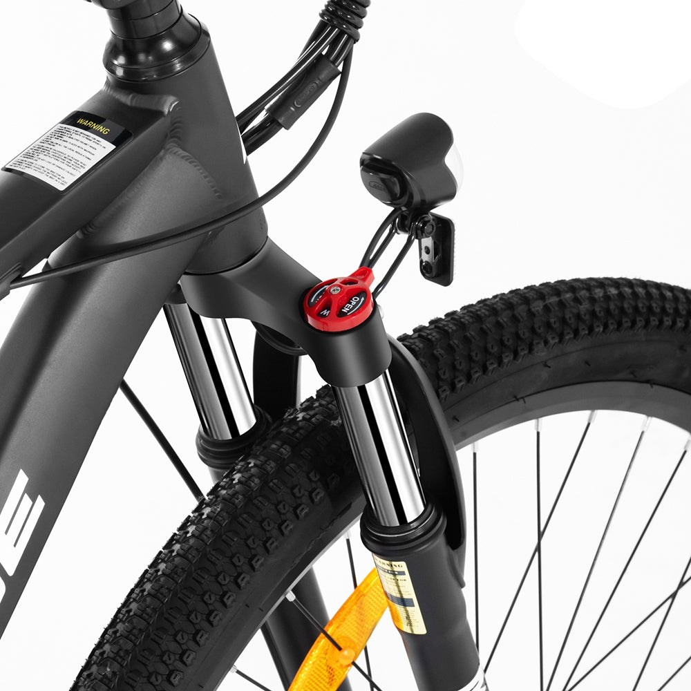 Foride Xtremer 2 Mountain Electric Bike