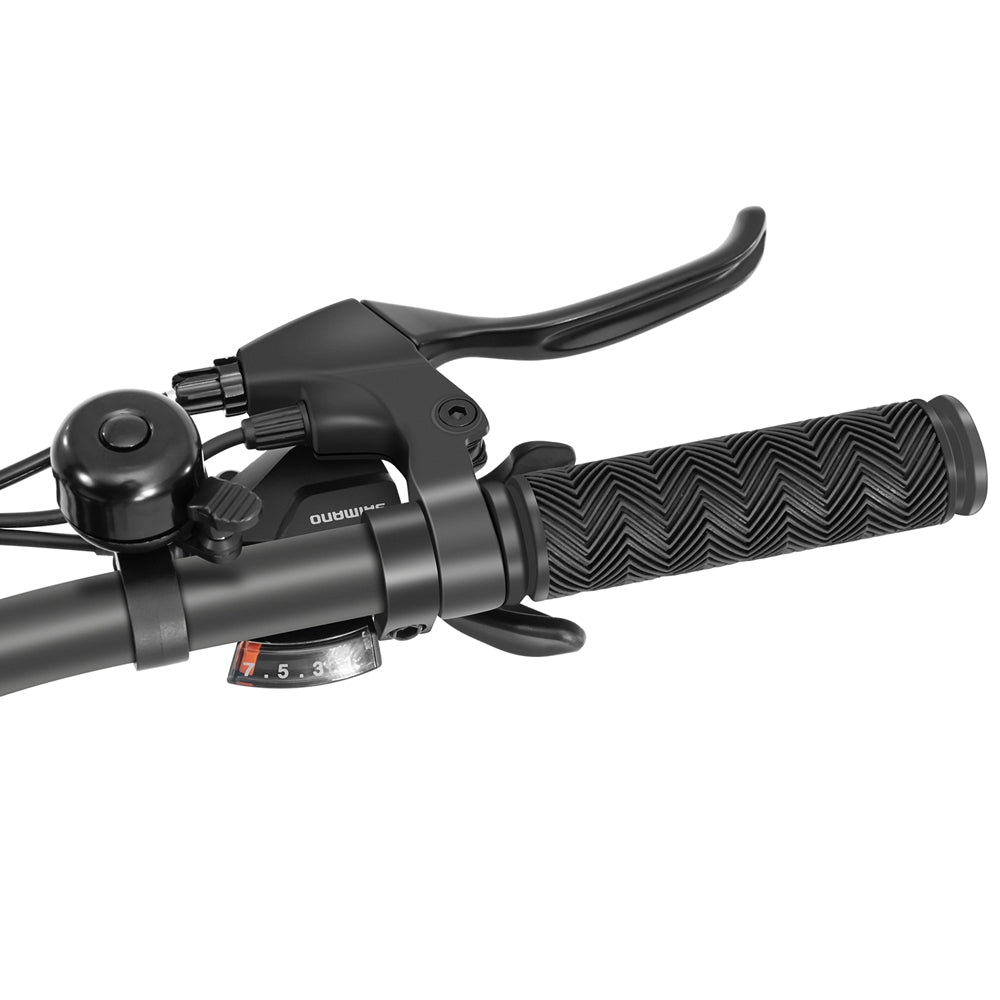 Foride Xtremer 1 Mountain Electric Bike