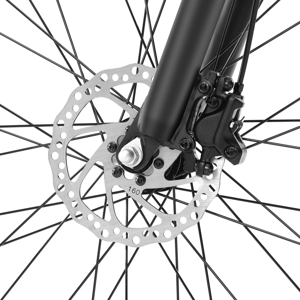 Foride Xtremer 3 Mountain Electric Bike