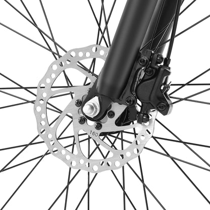 Foride Xtremer 3 Mountain Electric Bike