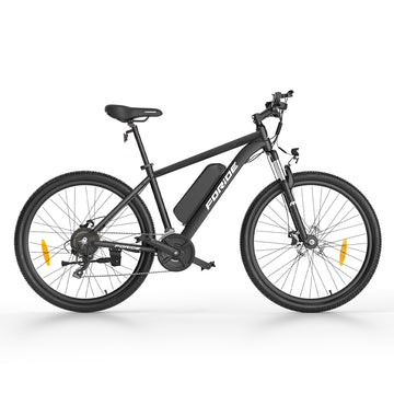 Foride Xtremer 1 Mountain Electric Bike