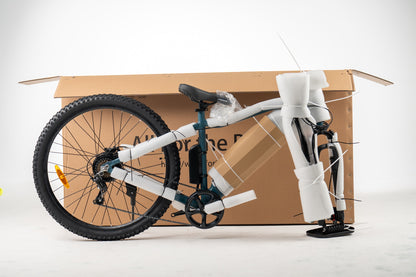 Foride Xtremer 3 Mountain Electric Bike